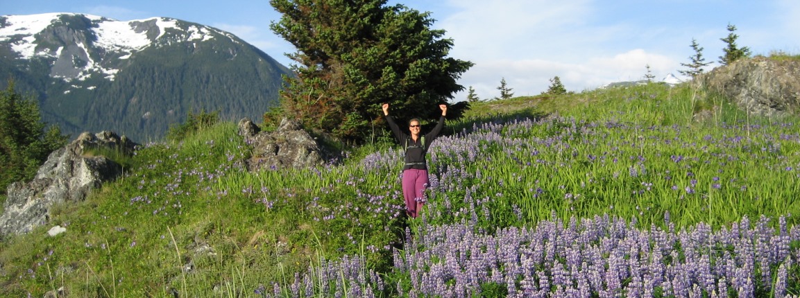 Explore one of our adventurous hikes in Skagway or Haines!