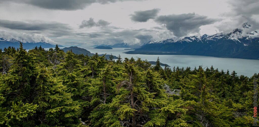 Mount Riley View