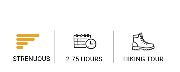 Row of three icons: STRENUOUS, a calendar with 2.75 HOURS, and a hiking boot labeled HIKING TOUR, indicating a strenuous 2.75-hour hike tour