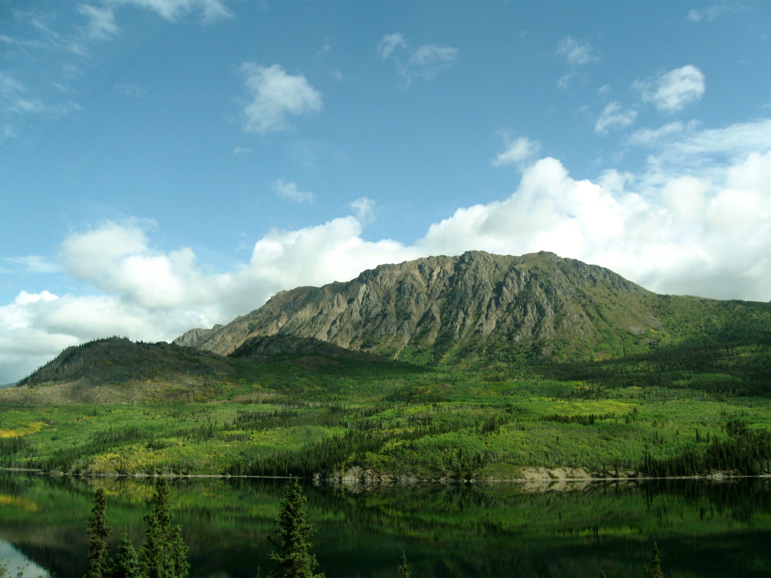 Yukon Summit Views - Skagway Excursions - Skagway Excursions Yukon Summit Views