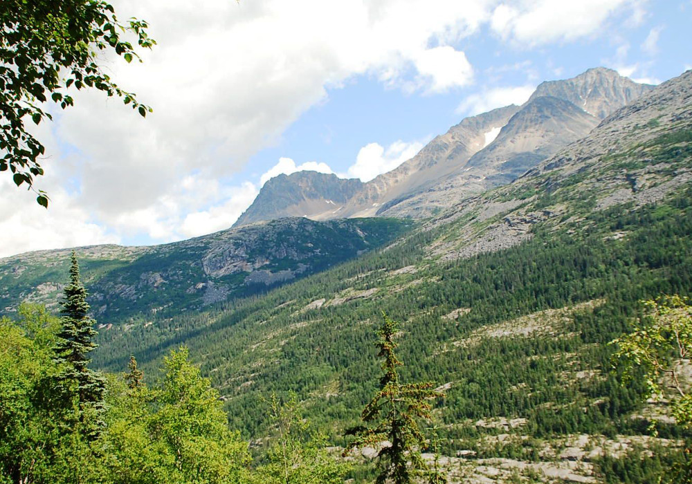Looking north from the Skagway Adventure Hike to the White Pass