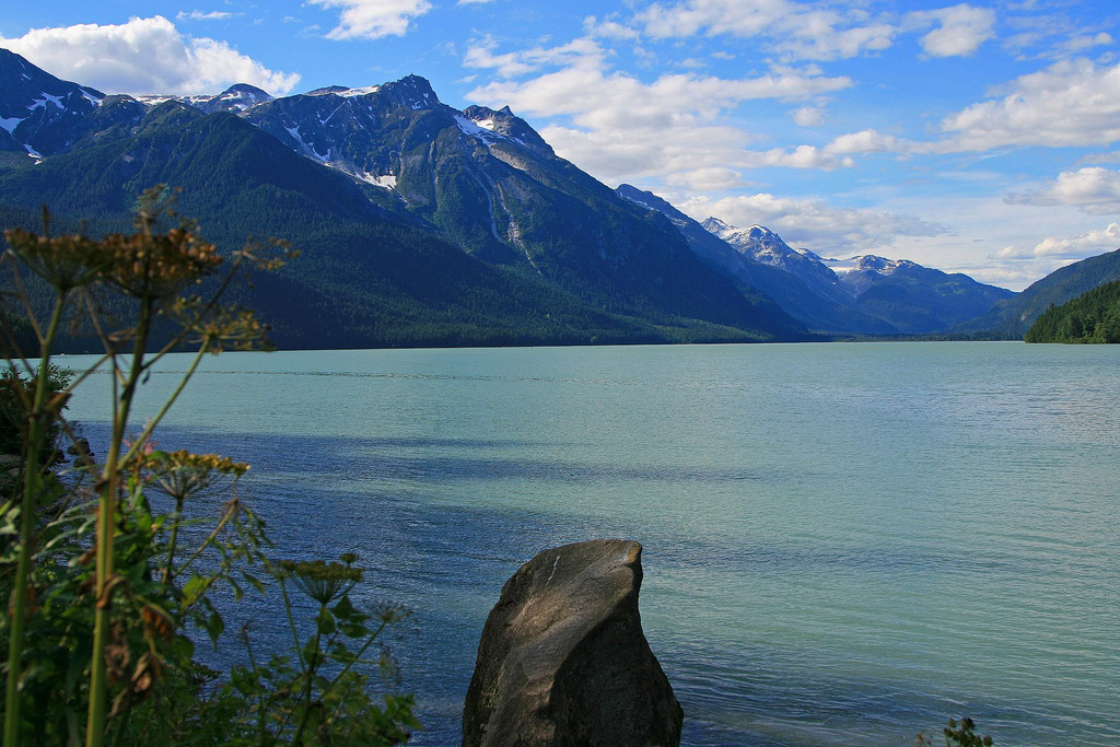 Haines Glacier Bears, Haines AK