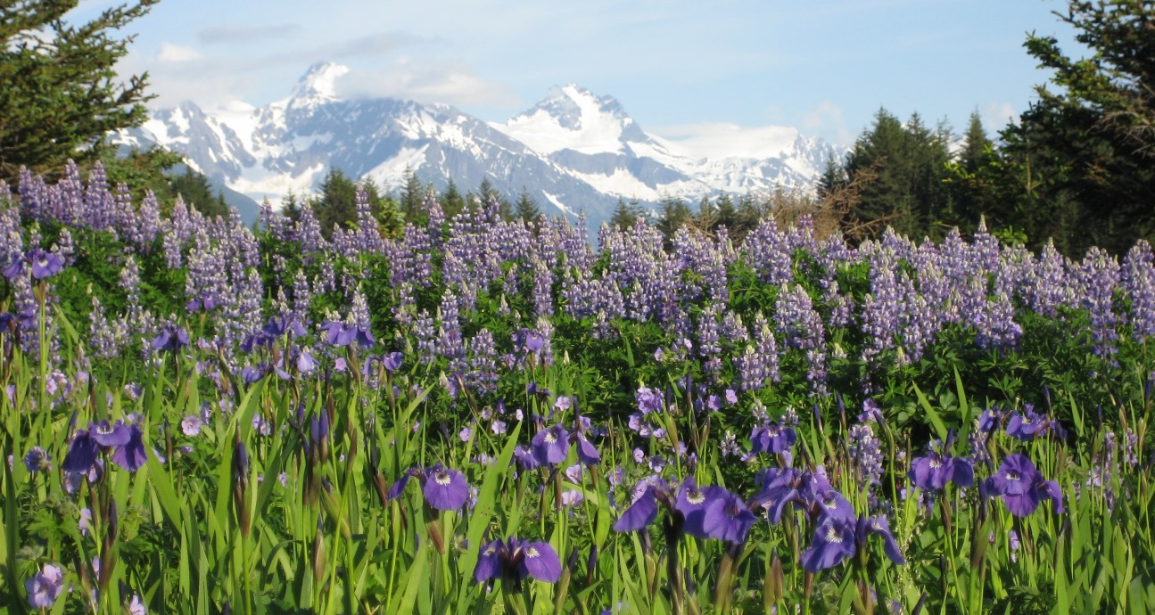 Haines offers great hiking options